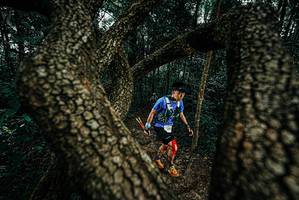 BIB: 
                            <button type="button" onclick="openModal(25681751)" class="btn btn-primary btn-sm float-right btn-popup" data-toggle="modal" data-target=".modal-high-quality">
                        <i class="fas fa-shopping-cart"></i> Add to Cart
                    </button>
                                            <button type="button" onclick="isThisMe(25681751, true)" class="btn btn-success btn-sm float-right btn-popup btn-isme hidden" data-toggle="tooltip" data-placement="bottom" title="นี่คือรูปของคุณใช่ไหม คลิกที่นี่เพื่อเอาเข้าอัลบั้ม">
                        <i class="fas fa-plus"></i> Add to album
                    </button>
                    <button type="button" onclick="isThisMe(25681751, false)" class="btn btn-warning btn-sm float-right btn-popup btn-isnotme hidden">
                        <i class="fas fa-ban"></i> Remove from album
                    </button>